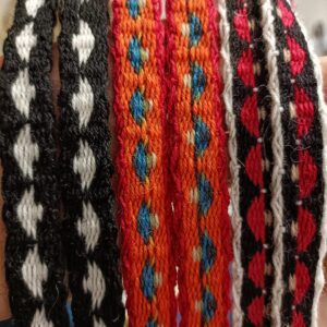 Sieni-lautanauhavyö, erilaisia